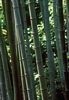 Tsuriai_04